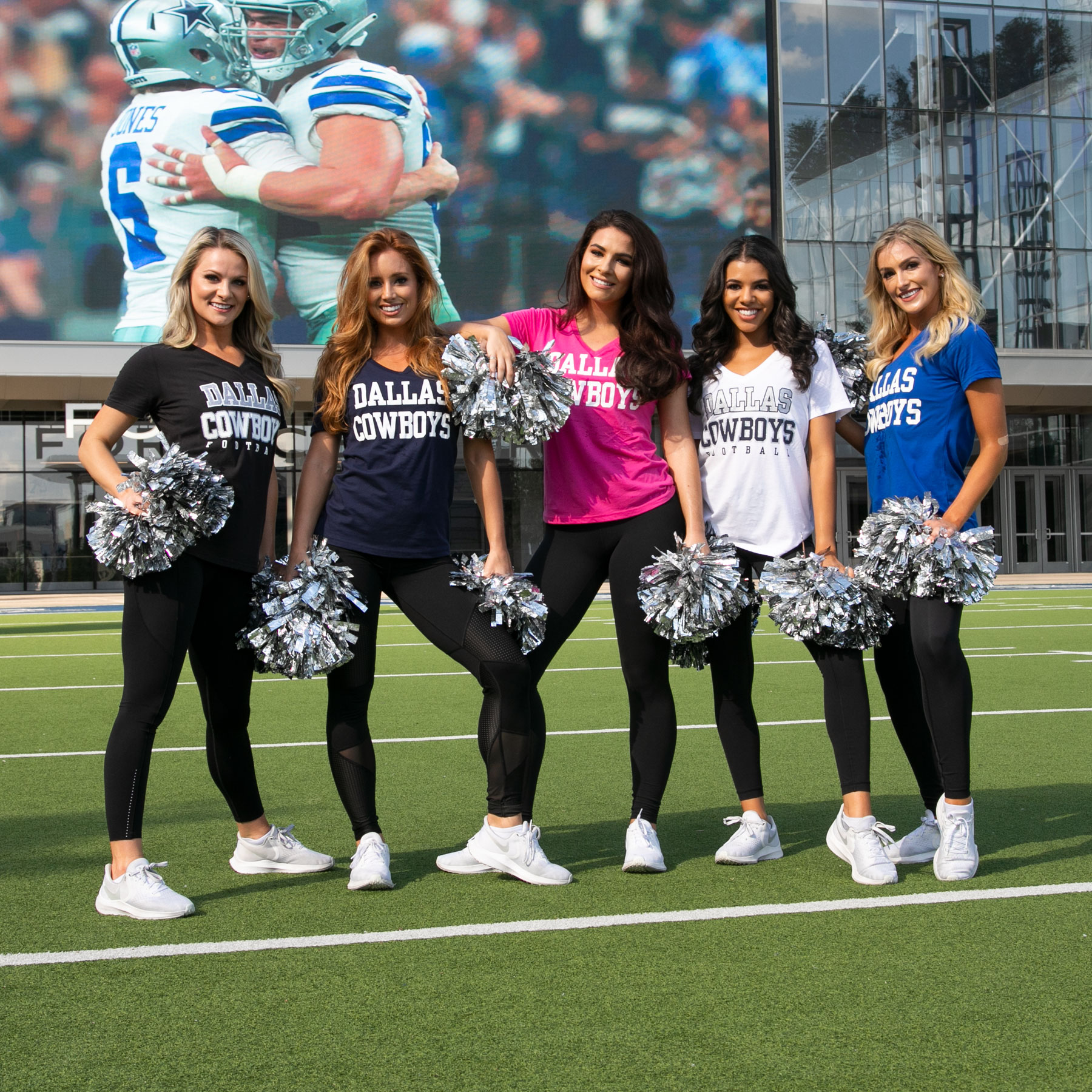 DCC In Motion Pom